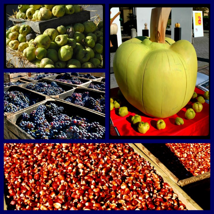 cassa cotogne_Fotor_Collage