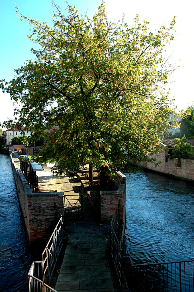 Small islands on the Sile river. Treviso looks a little Venice