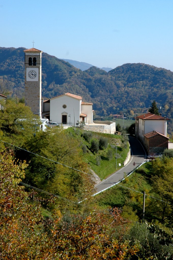 prosecco DOCG vineyards in Arfanta di Tarzo