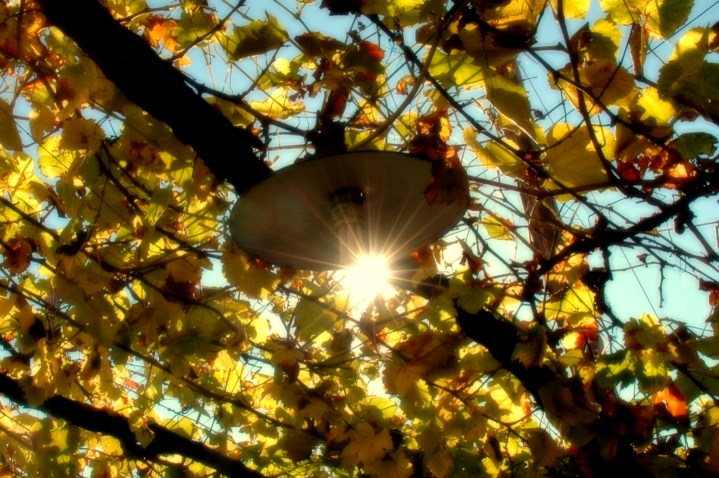 the autumn sun is still shining