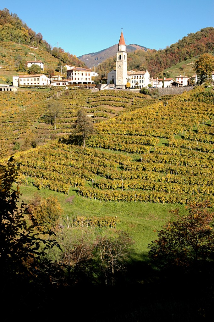 The village of Rolle in the DOCG Prosecco Conegliano